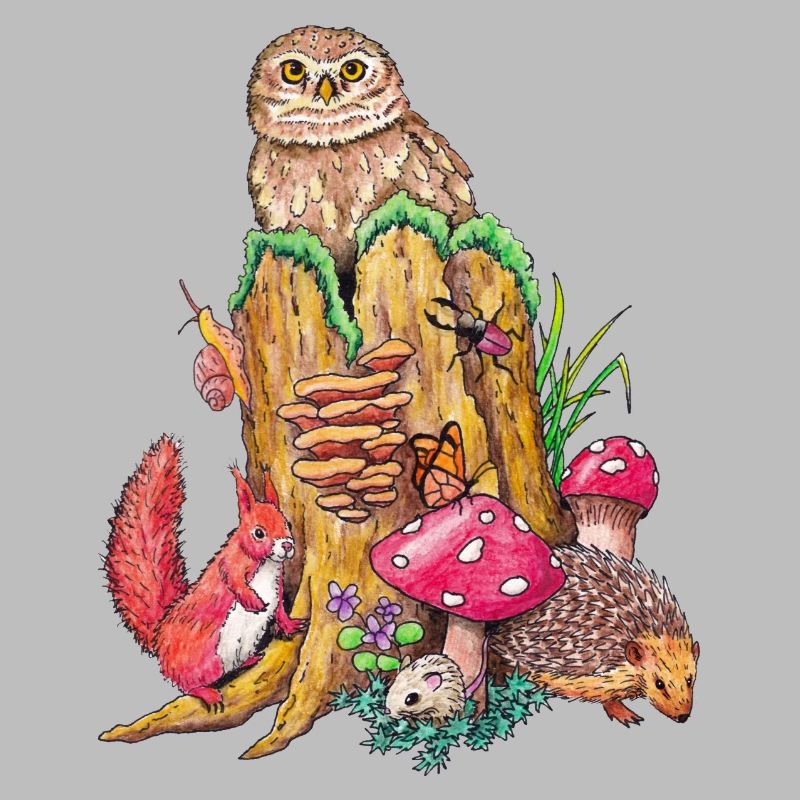 Forest animals