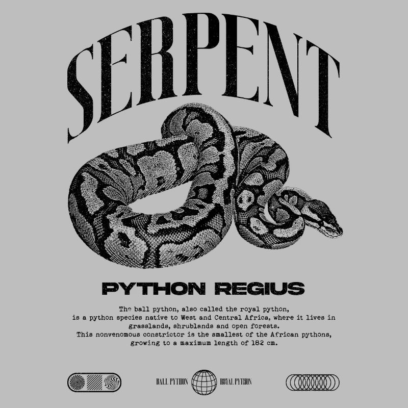 Ball Python Modern Reptile Keeper Streetwear