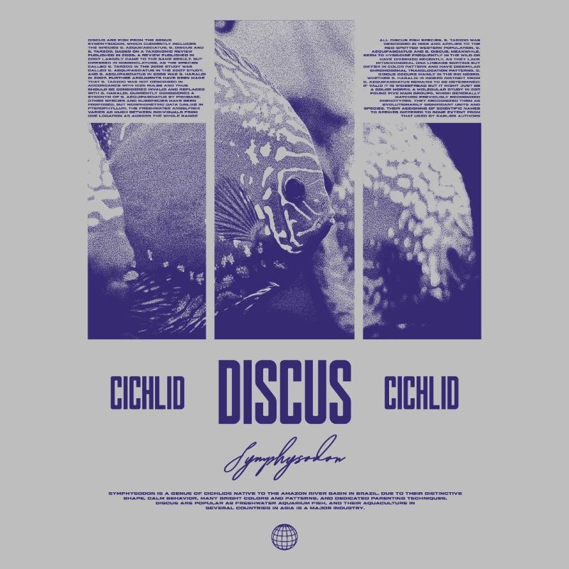 Discus Cichlidé Aquarium Fish Keeper