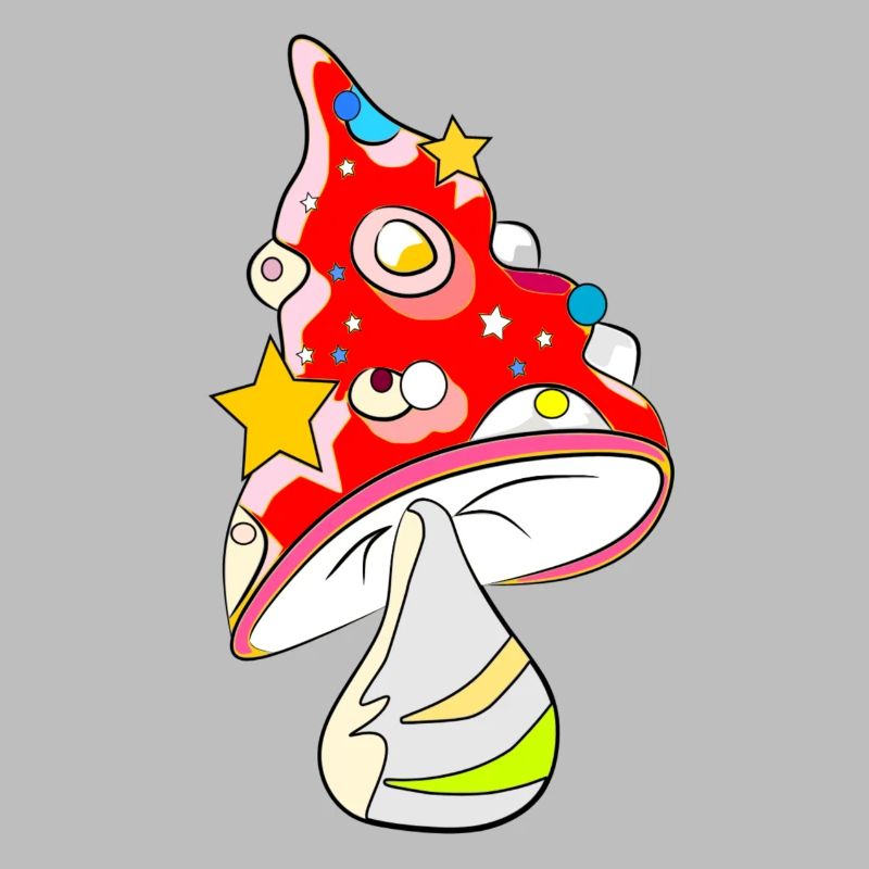 Red mushroom - fly agaric