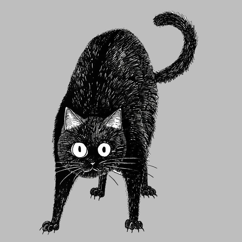 Schwarze Katze