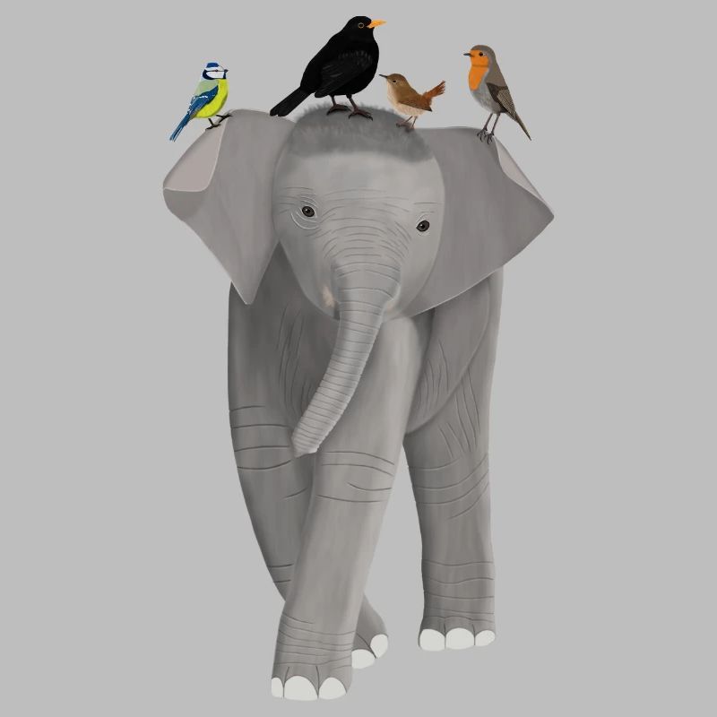 Elephant, Blackbird, Robin, Blue, Wren