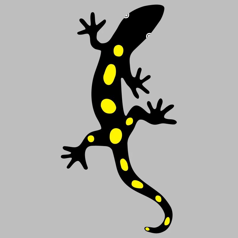 Eidechse Salamander Gecko Feuersalamander