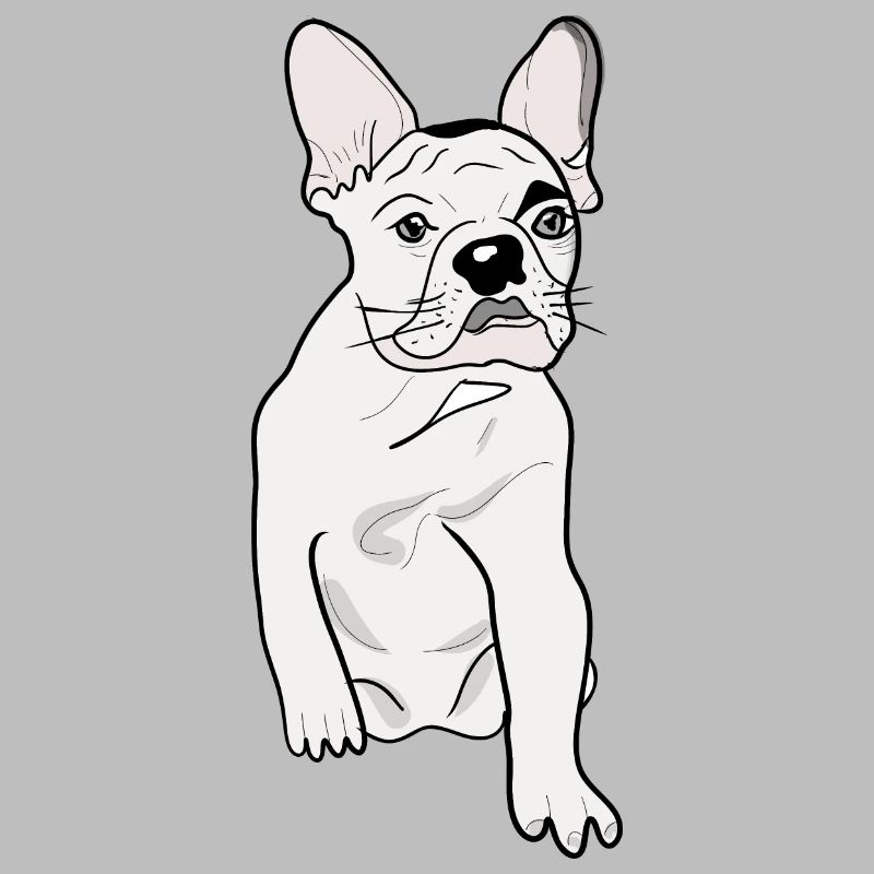 CUTE PUG