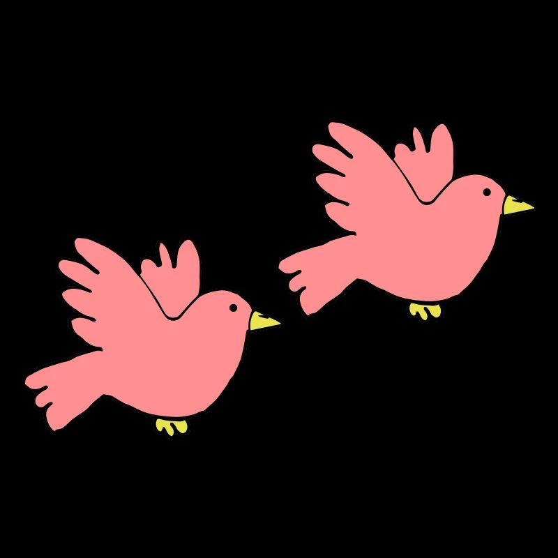 Couleurs d’oiseaux 2