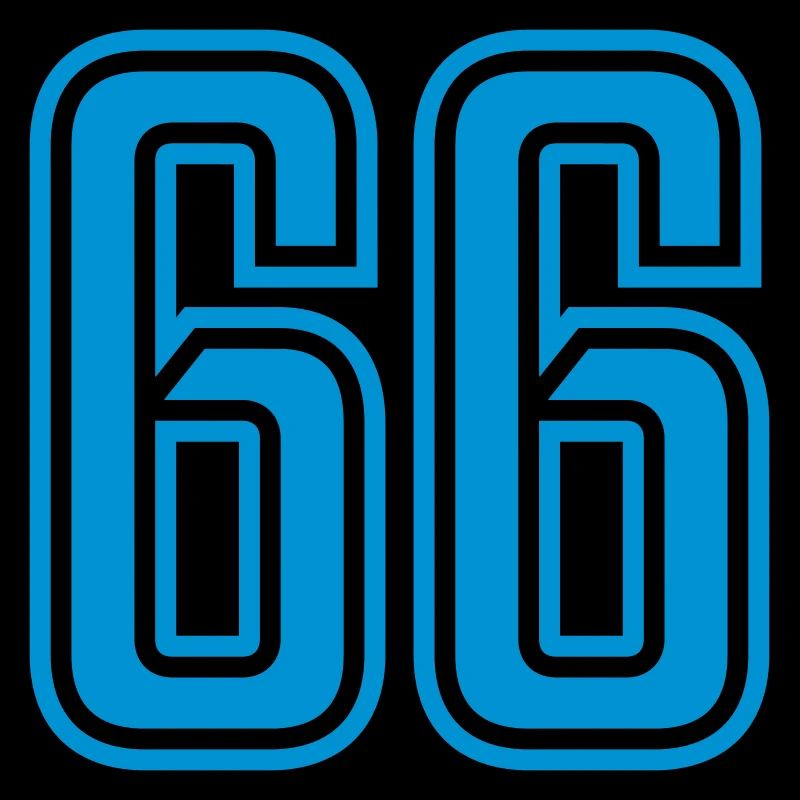 66