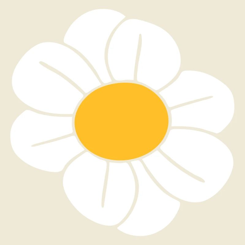 Weiße Margeriten Blumen Frühling Sommer Blümchen