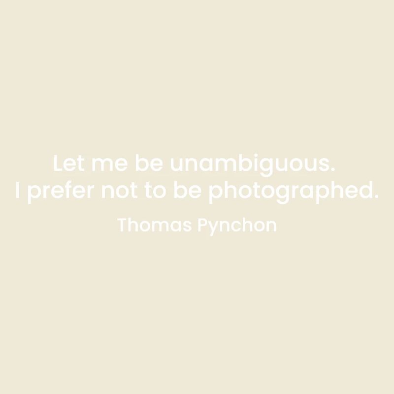 Citation de Thomas Pynchon
