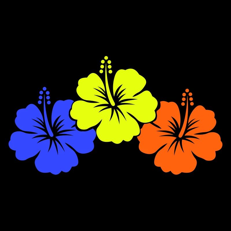 Fleur d’hibiscus