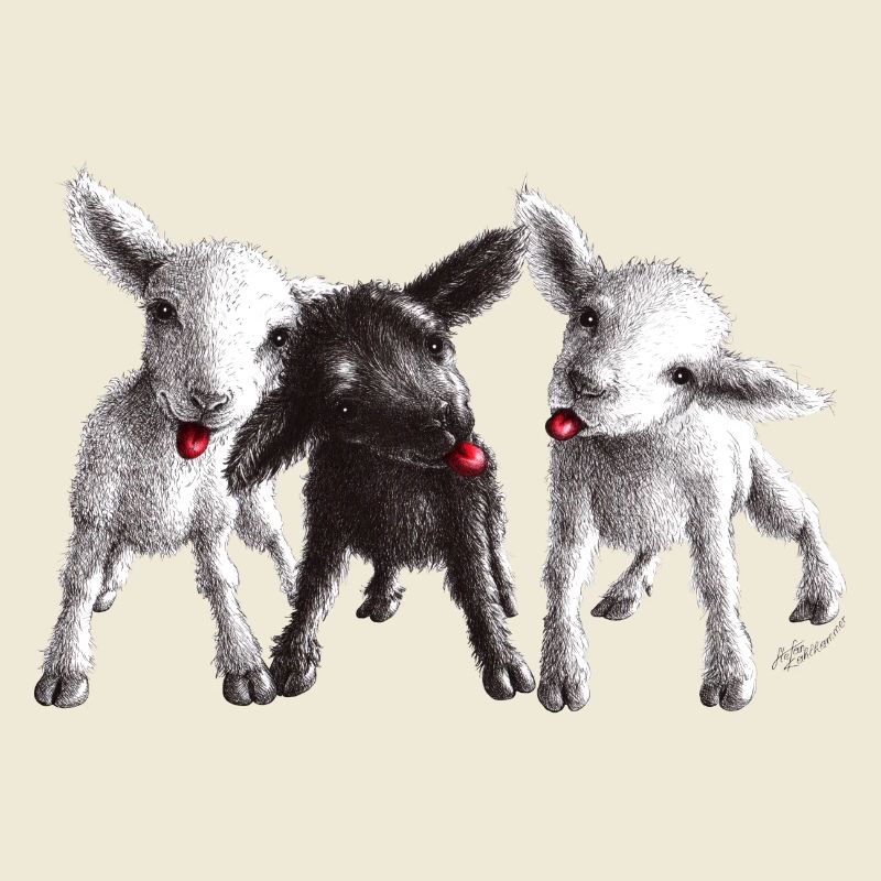 mouton effronté