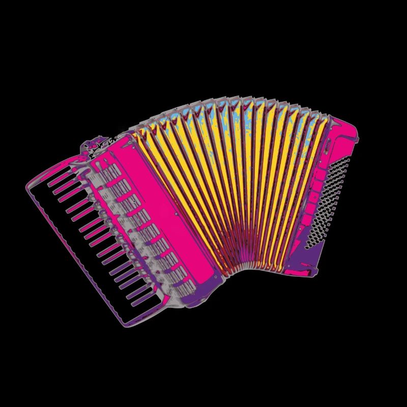 Chic couleur accordéon - Cadeau