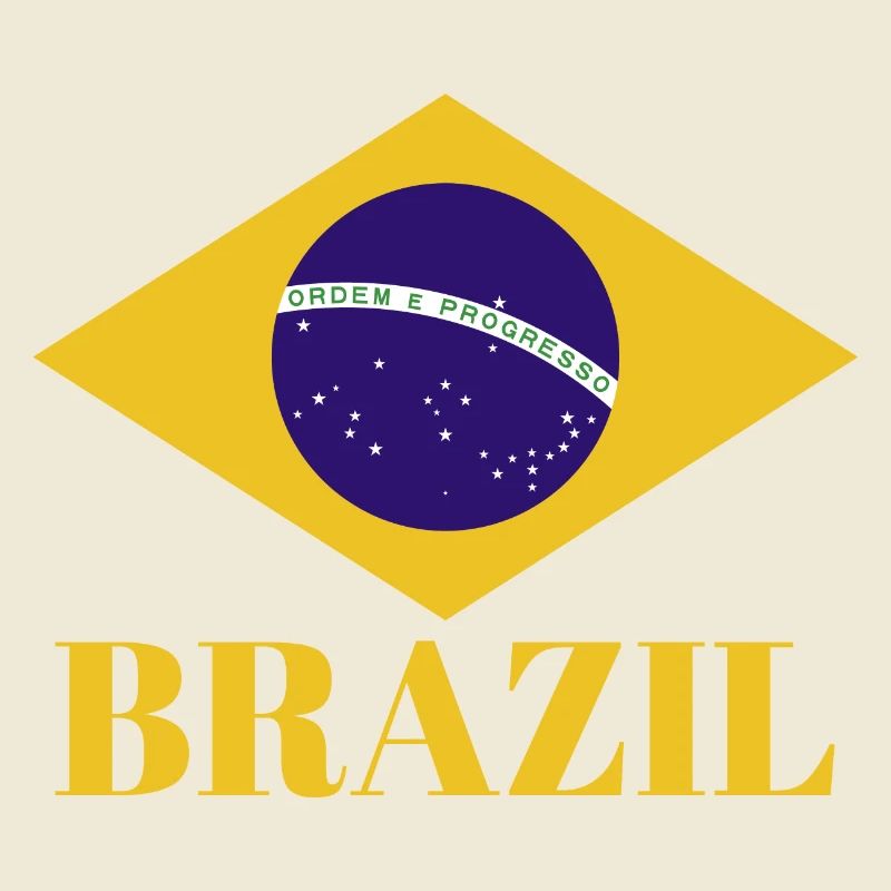 BRÉSIL BRASIL Drapeau Vintage C’est dans mon ADN Brésil