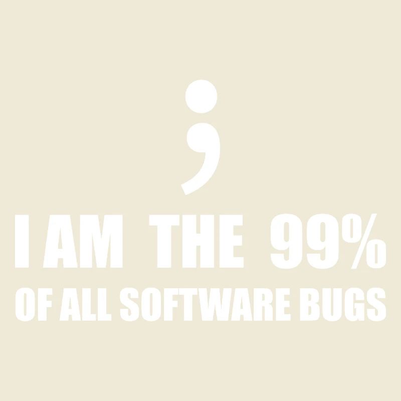 Informatiker, Programmierer