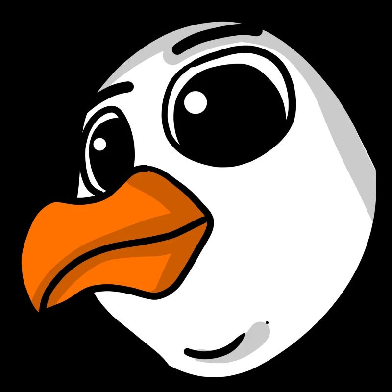 Seagull Head