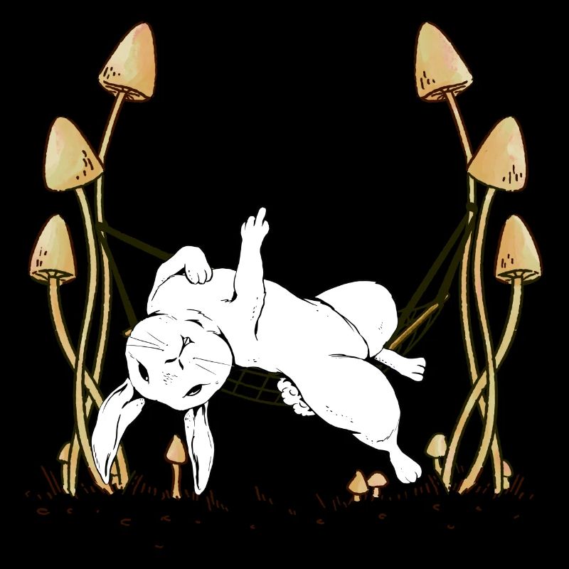 Lapin Hamac Chilling Lapin Lapins