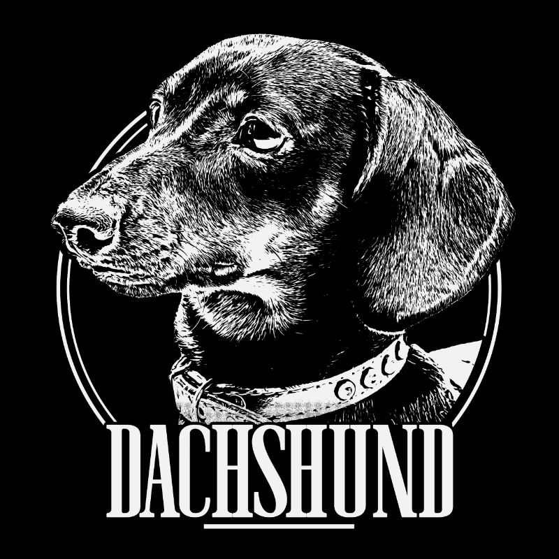 Dachshund Dackel Teckel