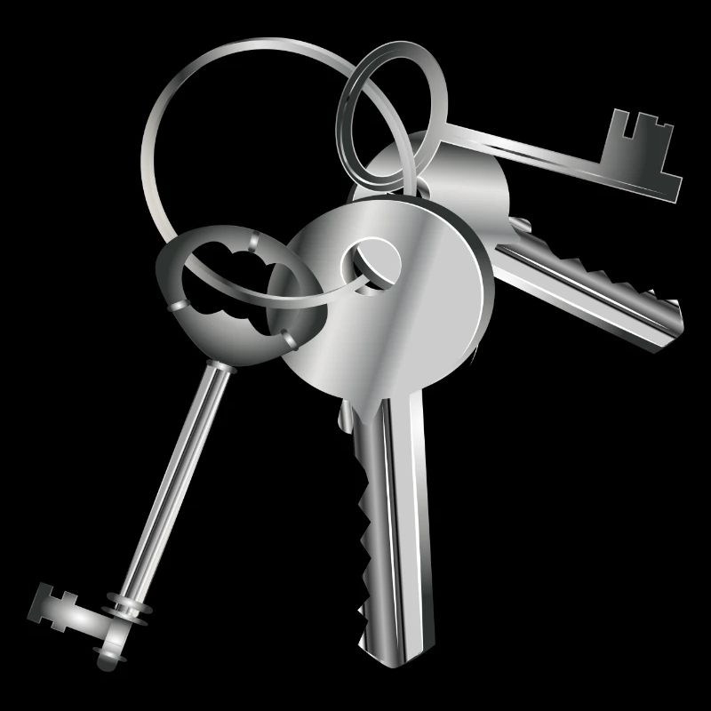 clés argentées sur un porte-clés