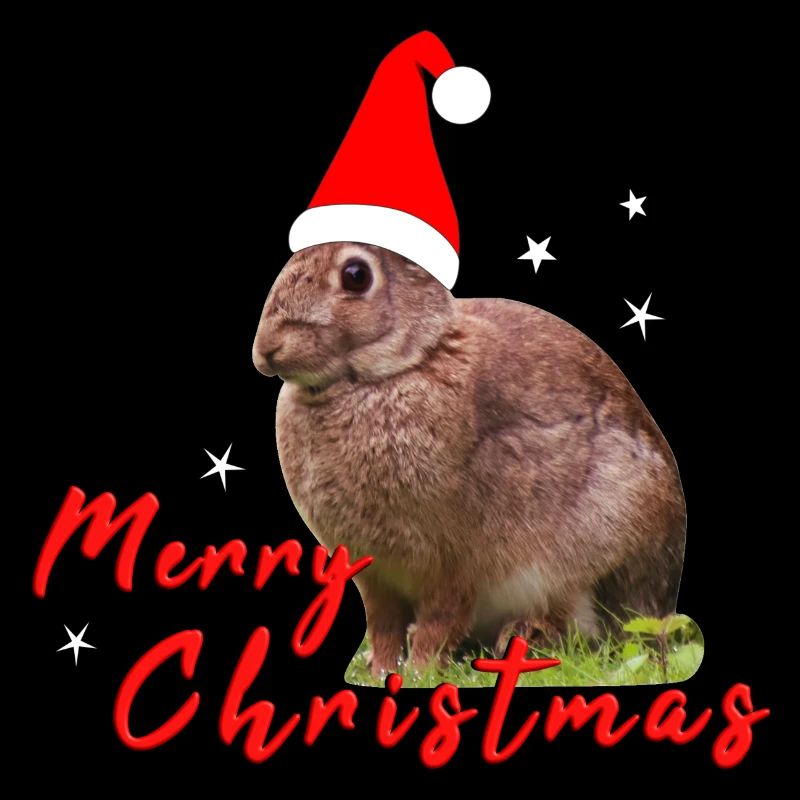 Joyeux Noël Lapin