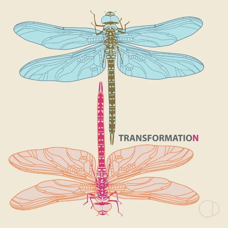 Libellules et transformation par CD