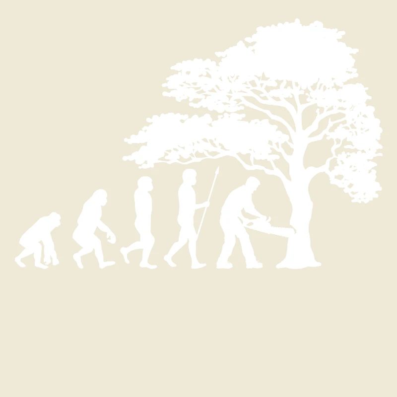 Arbre bois sciure sciure bûcheron boiseries