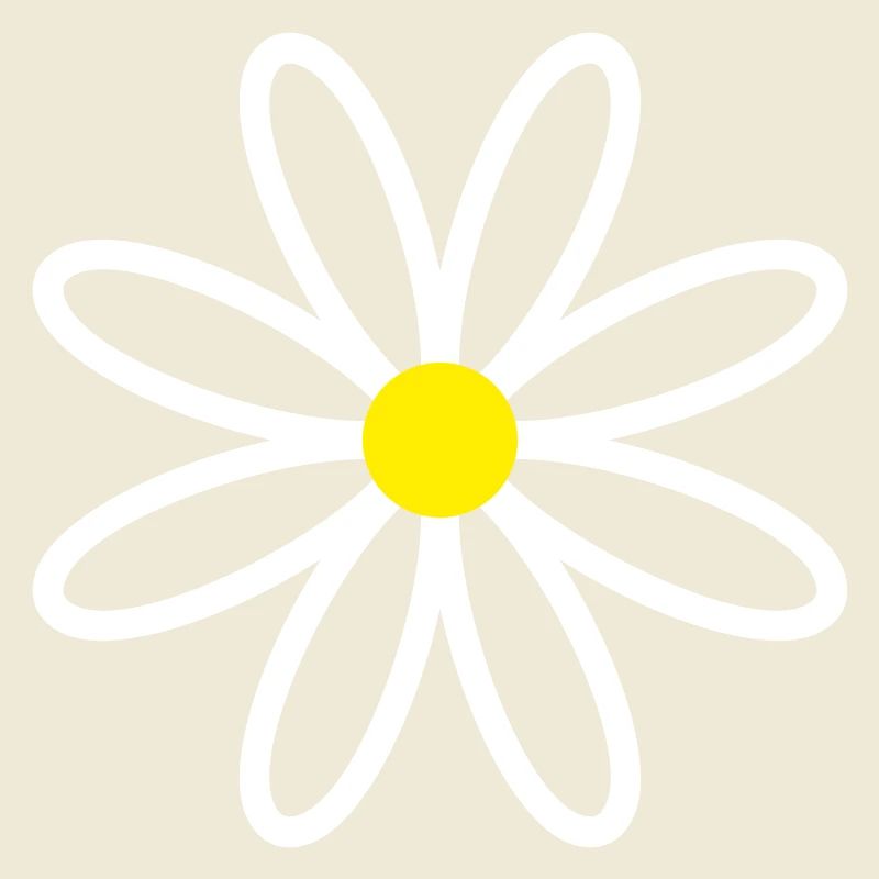 Daisy Gänseblümchen