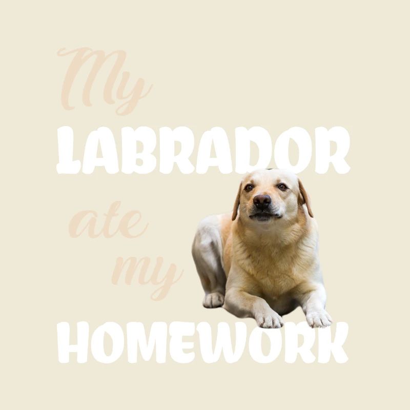 Devoirs du Labrador