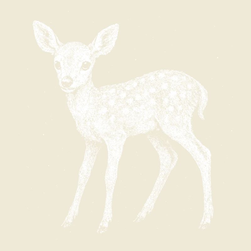 Fawn