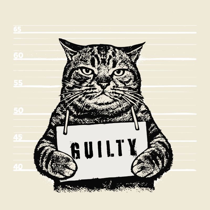 Grimmiger Kater – Mugshot Guilty Design