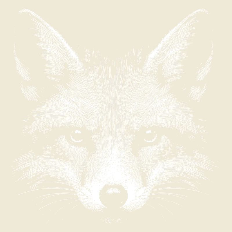 Red fox