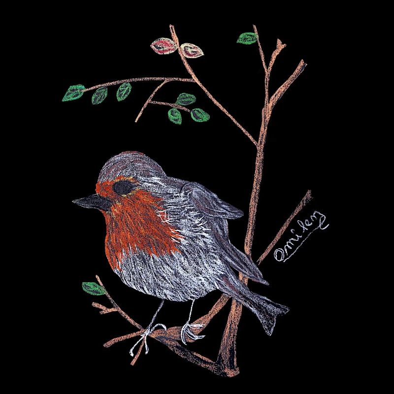 A charismatic Robin