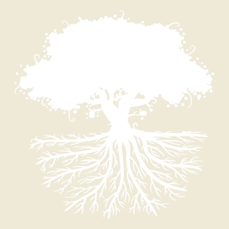tree roots white