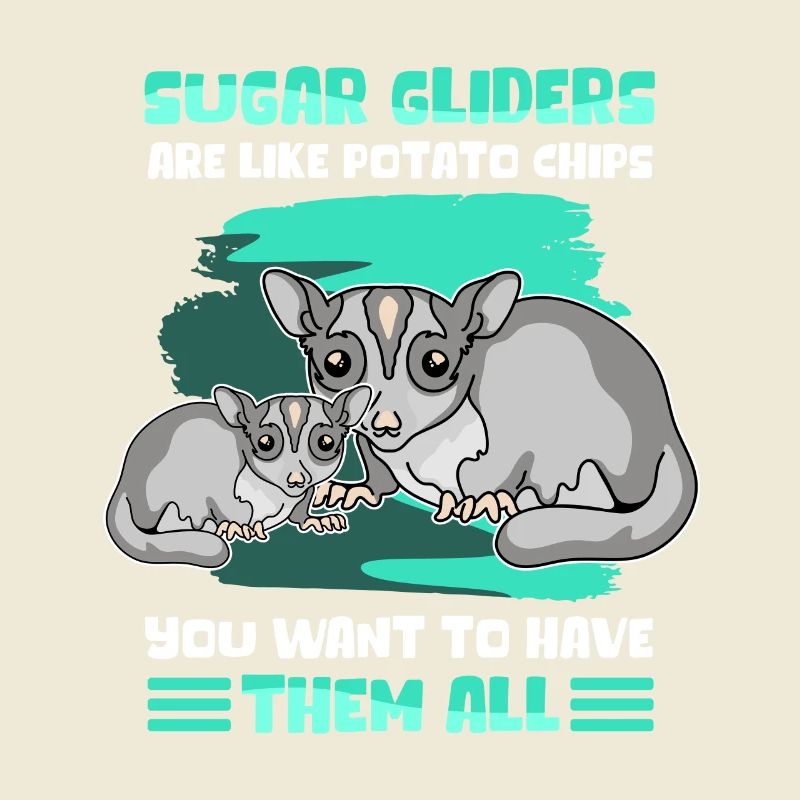 Sugar Glider Short Head Glider Gift