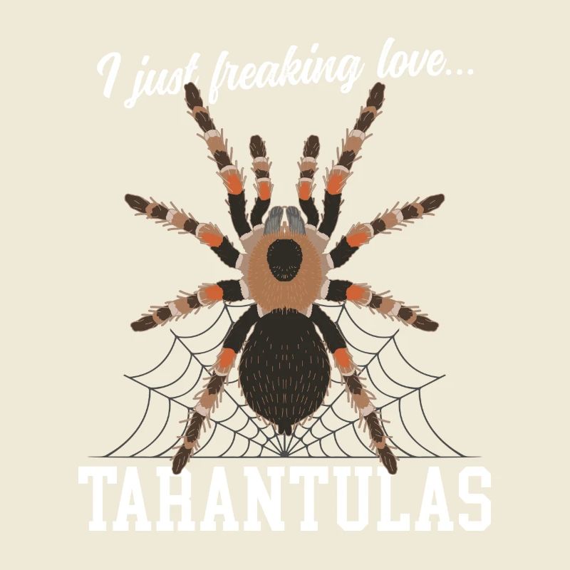 Tarantulas Spider Tarantula Gift