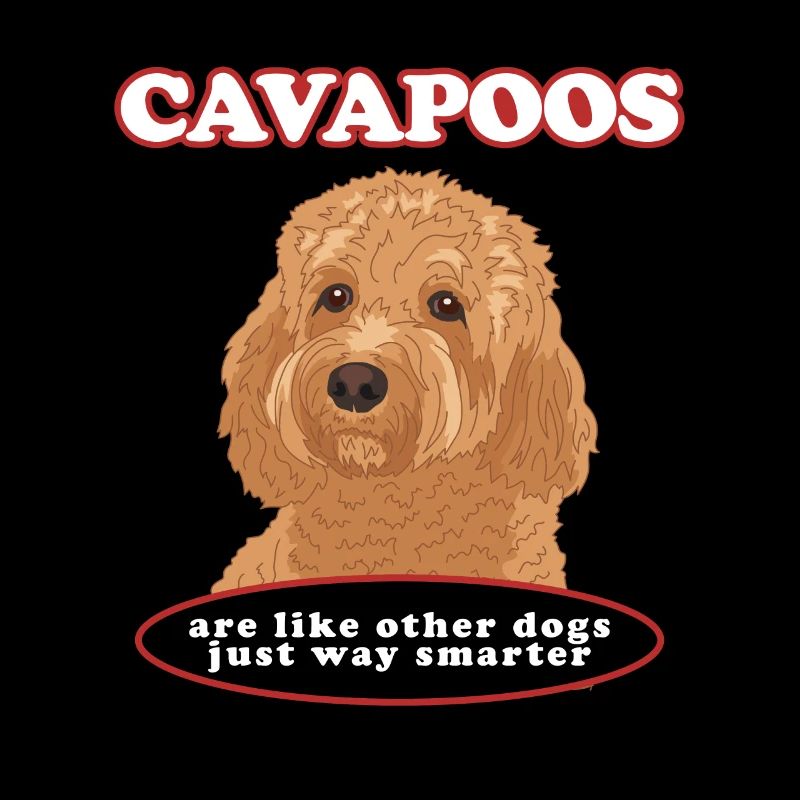 Cavapoo Dog Cavoodle Dog Owner Cadeau
