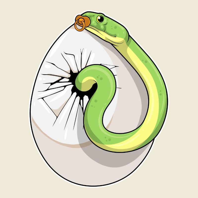 Snake Egg Pacifier