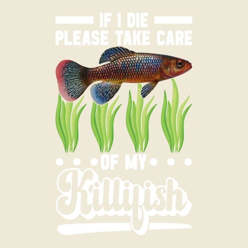 Killifish Quarium Fish