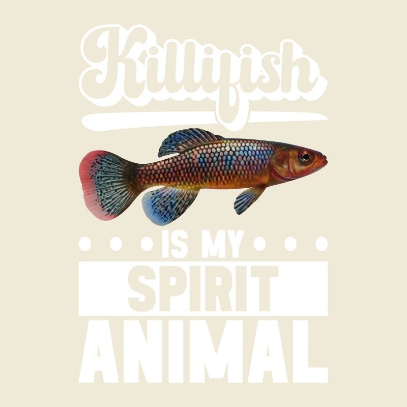 Killifish Quarium Fish