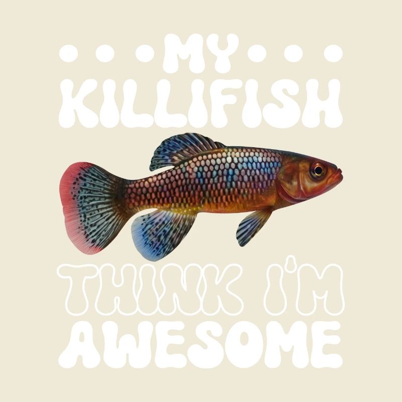 Killifish Quarium Fish