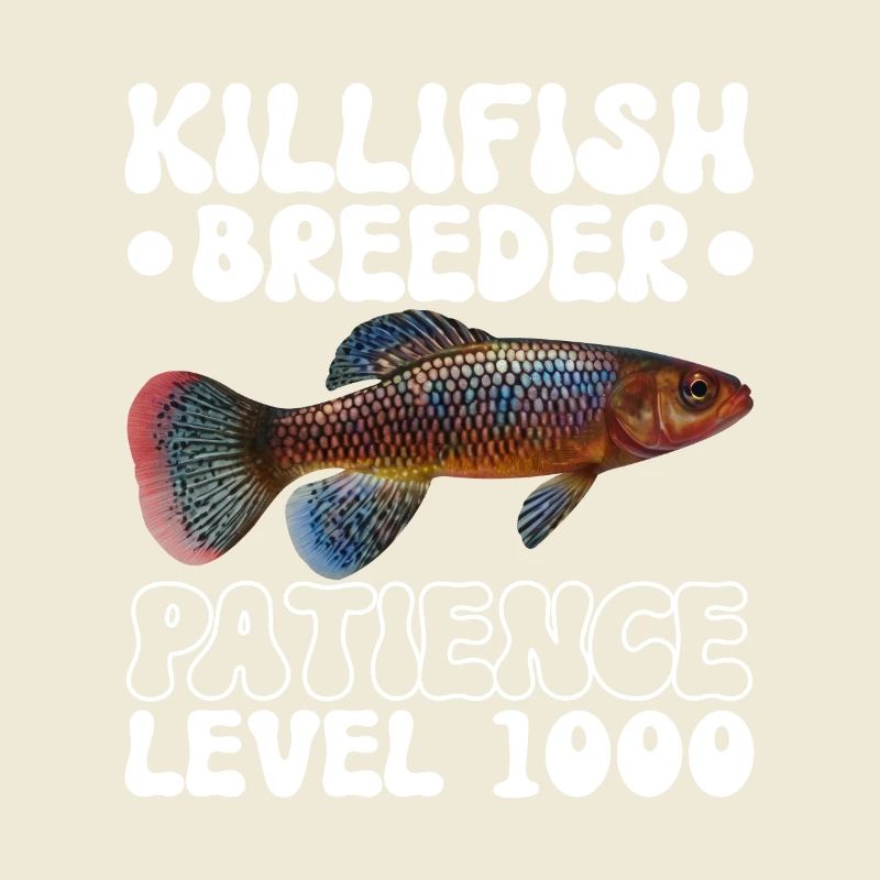 Killifish Quarium Fish