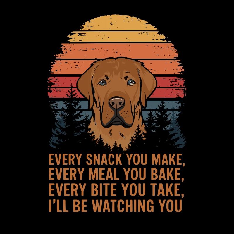Le Labrador vous surveille