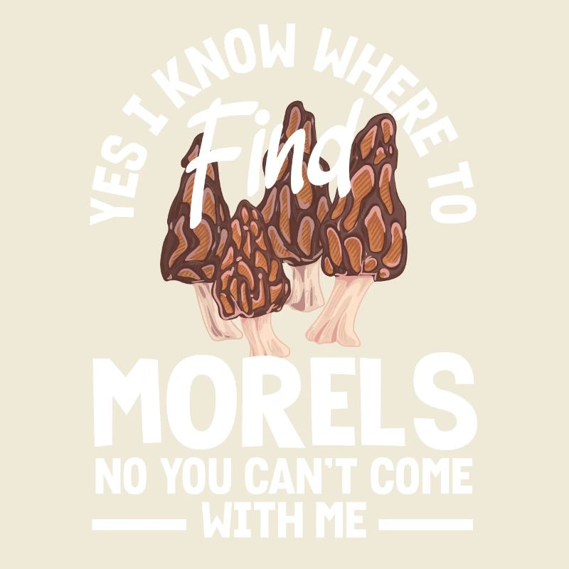 Mushroom pickers know where to find morels