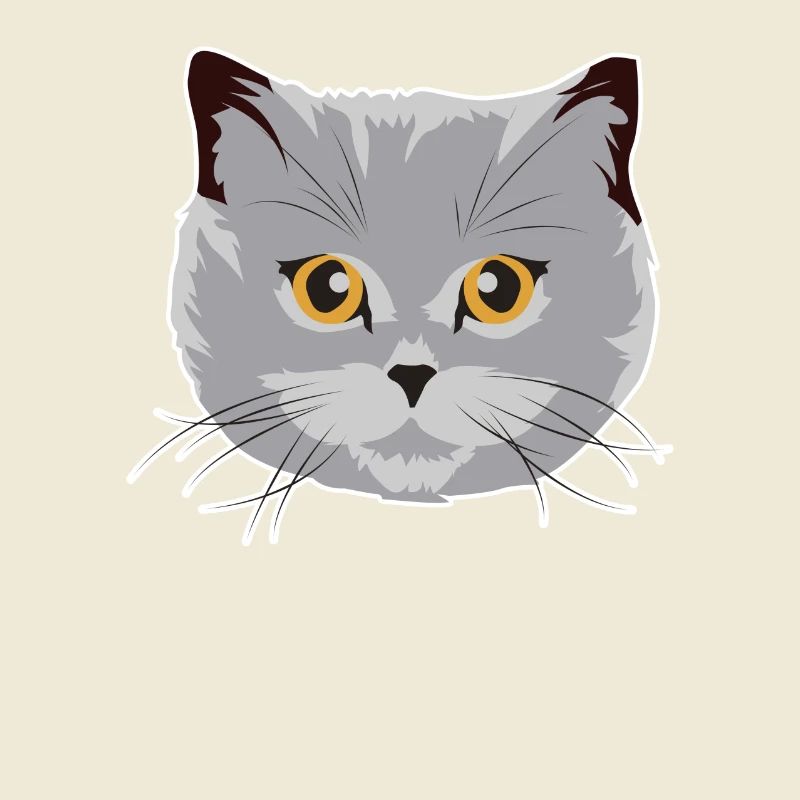 Wunderschöne Britisch Kurzhaar Katze BKH Geschenk