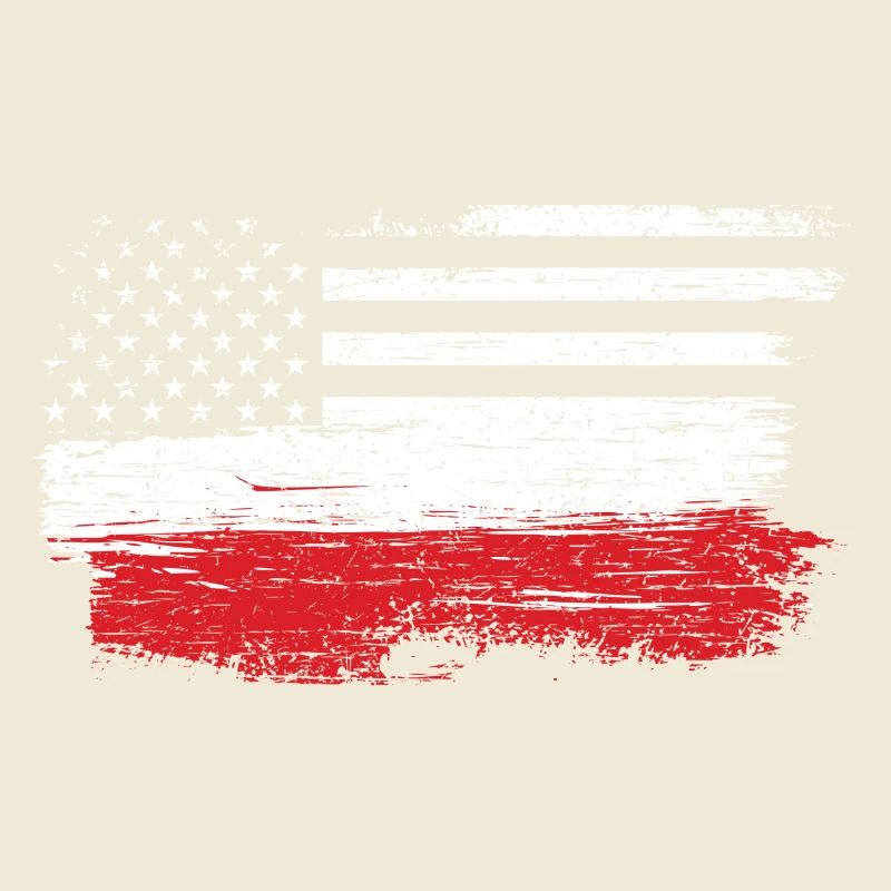 Brushed U.S. Flag Art