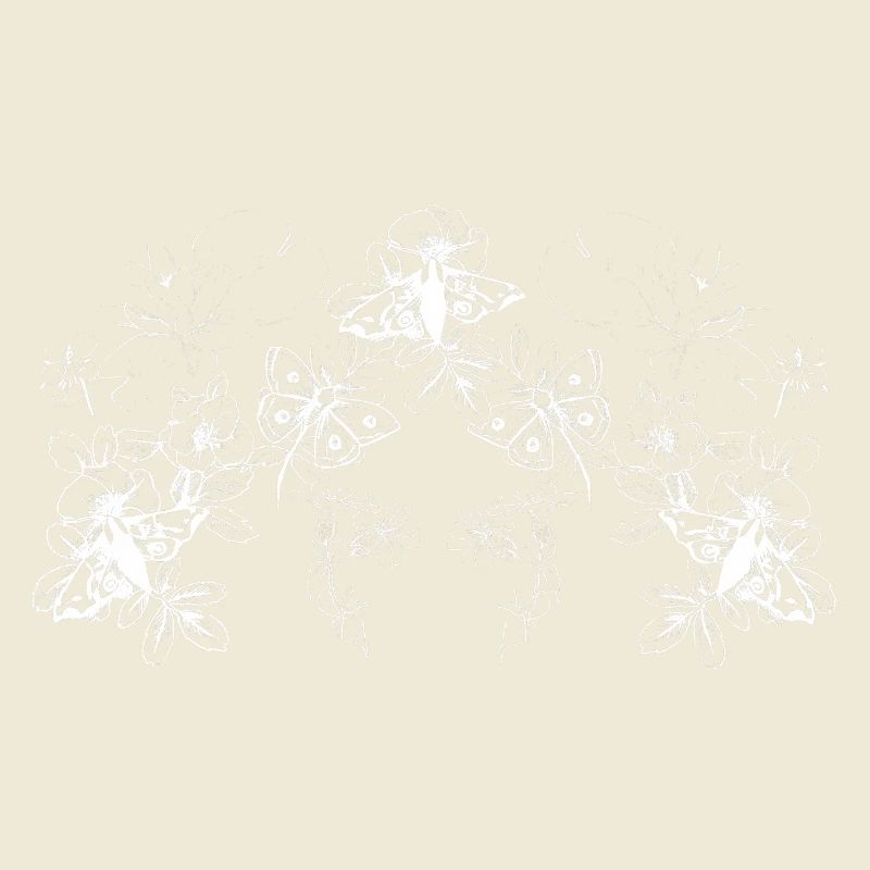 PAPILLONS