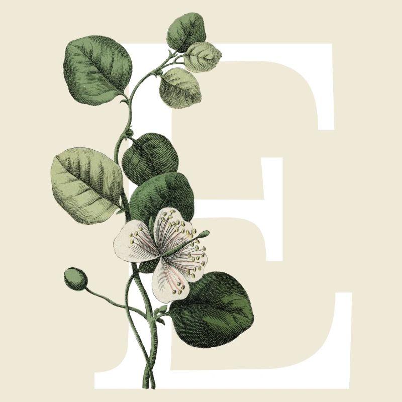 Green Botanical Letter E