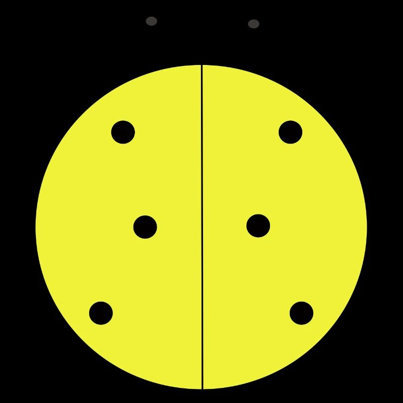 Coccinelle Jaune à Points Noirs