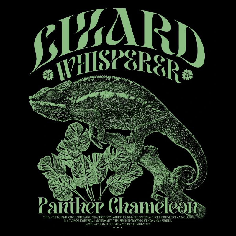 Panther Chameleon Chameleon Lizard Whisperer