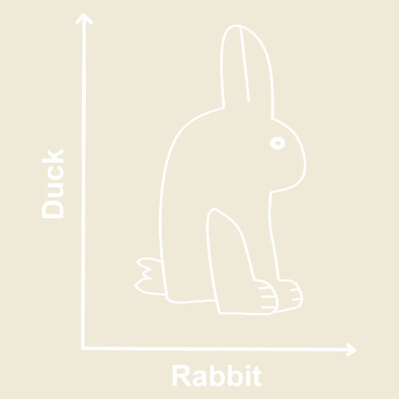 Rabbit Duck Funny Animals