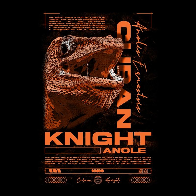 Kubanischer Ritter Anole Reptilienhalter Eidechse