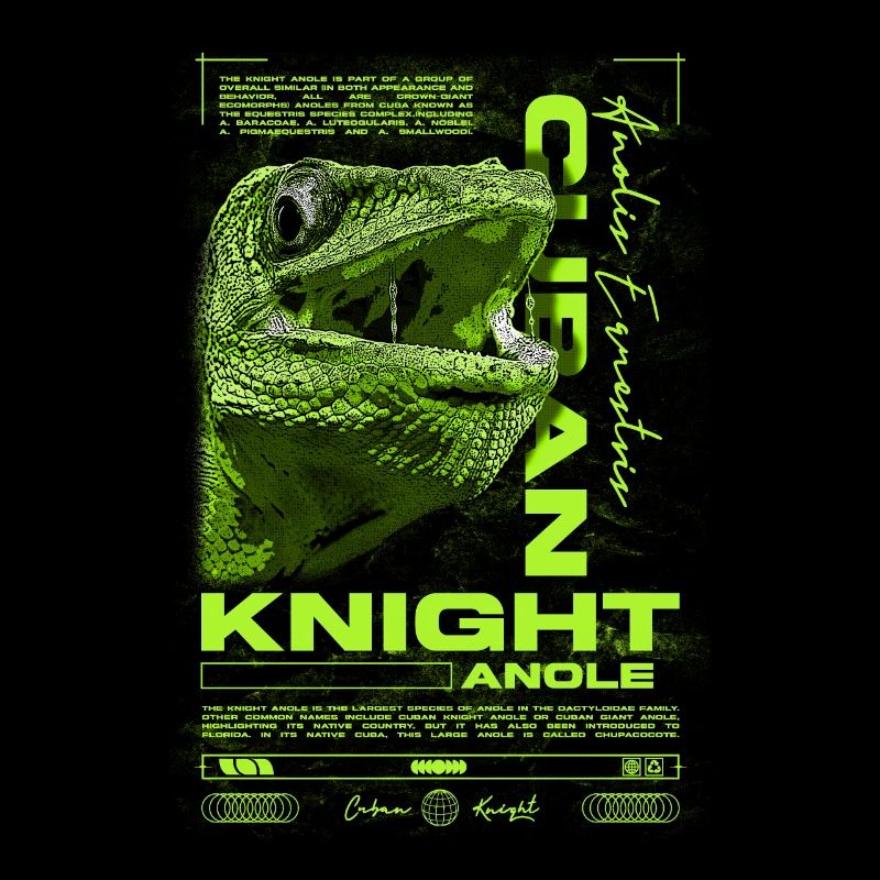 Kubanischer Ritter Anole Reptilienhalter Eidechse